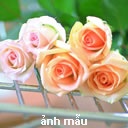 Nguyễn Duy Minh