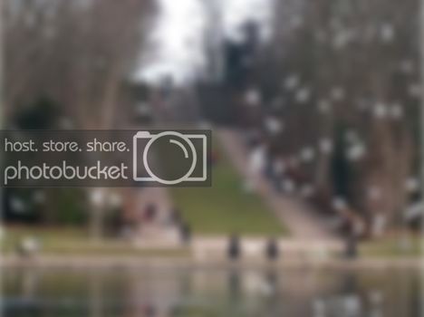 Click image for larger version

Name:	Image742B.jpg
Views:	97
Size:	19.4 KB
ID:	260687