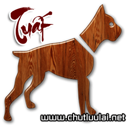 Click image for larger version

Name:	tuoi_tuat.png
Views:	155
Size:	24.6 KB
ID:	262232