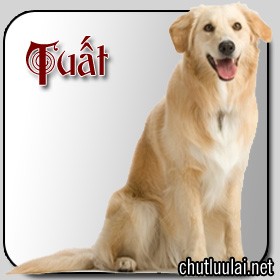Click image for larger version

Name:	tuoi_tuat.jpg
Views:	45
Size:	18.2 KB
ID:	262233
