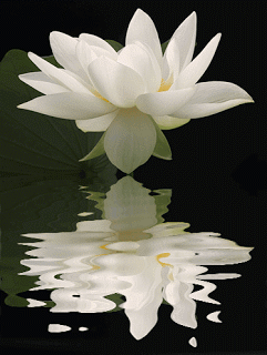 Click image for larger version

Name:	1.gif
Views:	144
Size:	451.8 KB
ID:	264651