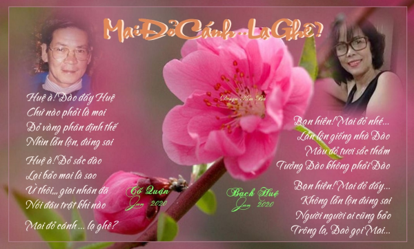 Click image for larger version  Name:	image.png Views:	65 Size:	364.5 KB ID:	264923