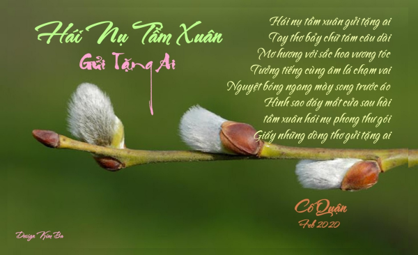 Click image for larger version

Name:	image.png
Views:	57
Size:	245.1 KB
ID:	265100