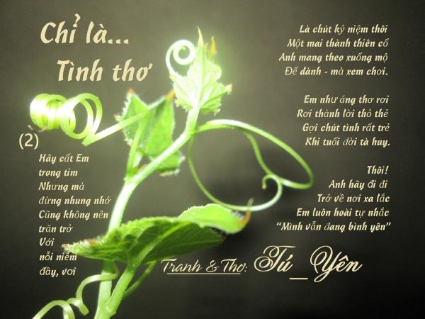 Click image for larger version

Name:	4chilatinhtho2.jpg
Views:	131
Size:	40.9 KB
ID:	265353