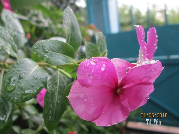 Click image for larger version

Name:	hdua119.jpg
Views:	54
Size:	55.9 KB
ID:	265439