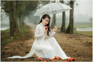 Click image for larger version

Name:	image-36.png
Views:	34
Size:	125.6 KB
ID:	265447