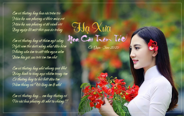 Click image for larger version

Name:	image.png
Views:	27
Size:	388.6 KB
ID:	265451