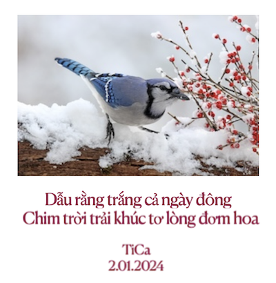 Click image for larger version

Name:	image-8.png
Views:	104
Size:	180.2 KB
ID:	265492