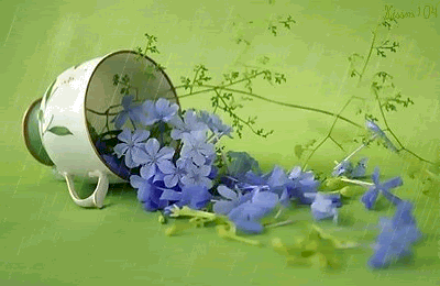 Click image for larger version

Name:	1.gif
Views:	8
Size:	138.5 KB
ID:	266020