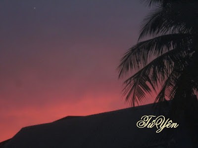 Click image for larger version

Name:	5.jpg
Views:	167
Size:	16.0 KB
ID:	265718