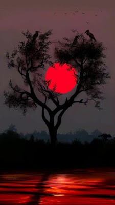 Click image for larger version

Name:	2.jpg
Views:	159
Size:	18.8 KB
ID:	265724