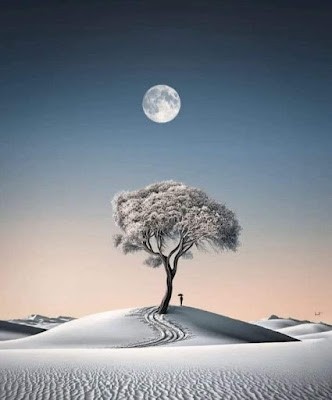 Click image for larger version

Name:	m%C4%91%C3%B4ng.jpg
Views:	348
Size:	22.7 KB
ID:	265737