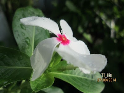 Click image for larger version

Name:	dtrg123.jpg
Views:	354
Size:	22.1 KB
ID:	265739
