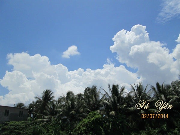 Click image for larger version

Name:	may.jpg
Views:	286
Size:	52.4 KB
ID:	265762