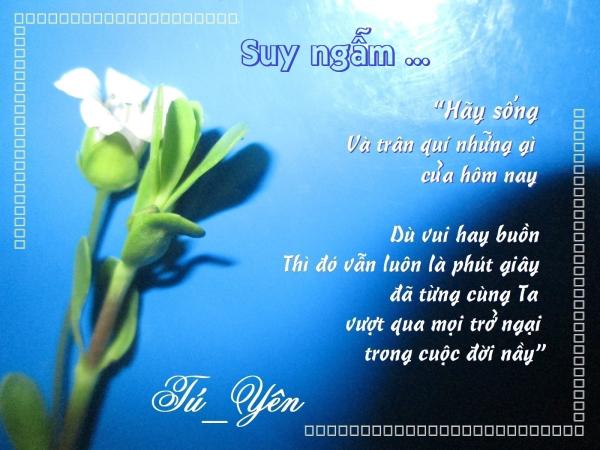 Click image for larger version

Name:	1suyngam.jpg
Views:	87
Size:	43.1 KB
ID:	266481