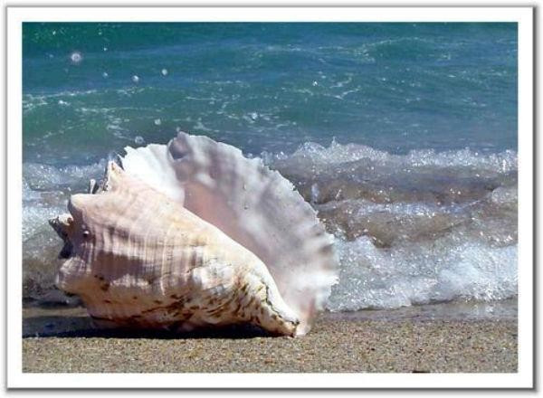 Click image for larger version

Name:	song.jpg
Views:	201
Size:	64.3 KB
ID:	266022