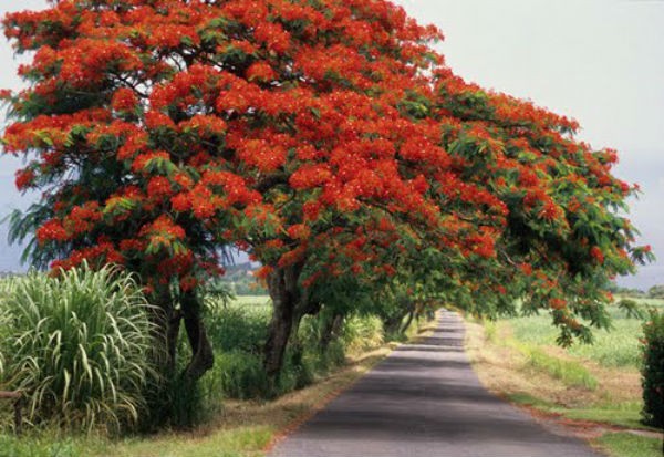 Click image for larger version

Name:	phgdo49.jpg
Views:	0
Size:	85.8 KB
ID:	266044