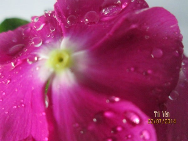 Click image for larger version

Name:	duatim98.jpg
Views:	0
Size:	43.2 KB
ID:	266048