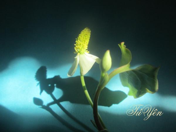 Click image for larger version

Name:	113.jpg
Views:	143
Size:	21.6 KB
ID:	266437