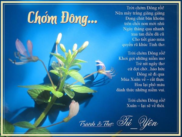 Click image for larger version

Name:	5chomdong.jpg
Views:	144
Size:	50.3 KB
ID:	266441