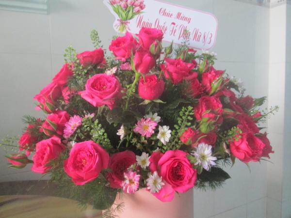 Click image for larger version

Name:	2img_0201.jpg
Views:	12
Size:	38.2 KB
ID:	266454