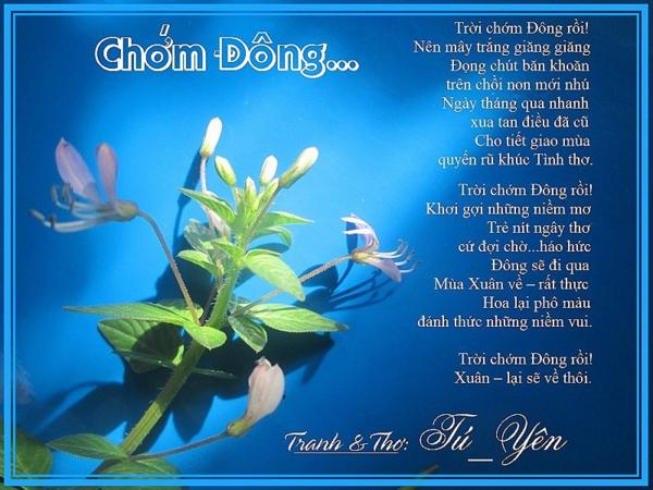 Click image for larger version

Name:	5chomdong1-1.jpg
Views:	134
Size:	51.2 KB
ID:	266456