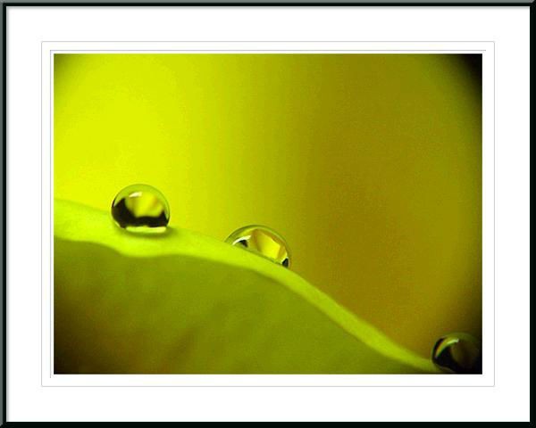 Click image for larger version

Name:	gsuong27-1.jpg
Views:	57
Size:	34.7 KB
ID:	266547