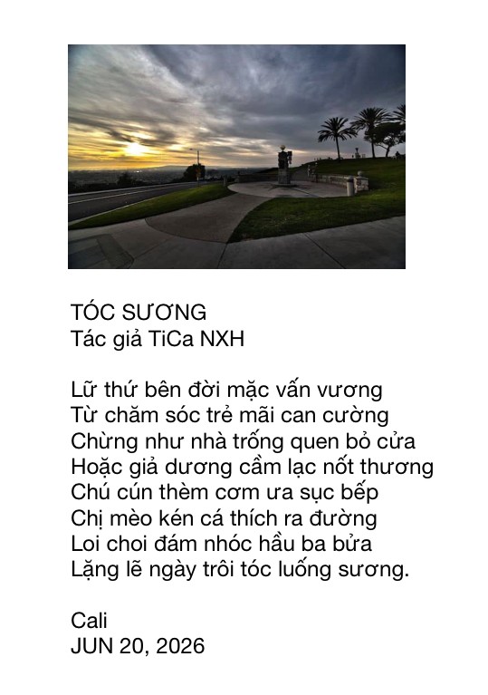 Click image for larger version

Name:	IMG_8382.jpg
Views:	0
Size:	78.7 KB
ID:	266637