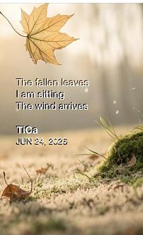 Click image for larger version

Name:	IMG_8503.jpg
Views:	15
Size:	60.3 KB
ID:	266651