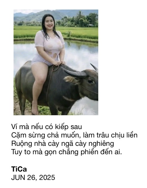 Click image for larger version

Name:	IMG_8533.jpg
Views:	0
Size:	55.7 KB
ID:	266658