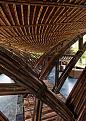 Click image for larger version

Name:	a-tb-9-bamboo-wing.jpg
Views:	86
Size:	118.9 KB
ID:	241259