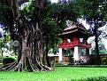 Click image for larger version

Name:	Cây Đa.jpg
Views:	122
Size:	73.8 KB
ID:	241621
