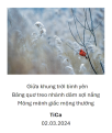 Click image for larger version

Name:	image-19.png
Views:	129
Size:	170.0 KB
ID:	265501