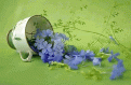 Click image for larger version

Name:	1.gif
Views:	203
Size:	138.5 KB
ID:	266019