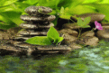 Click image for larger version

Name:	2.gif
Views:	40
Size:	26.7 KB
ID:	266433
